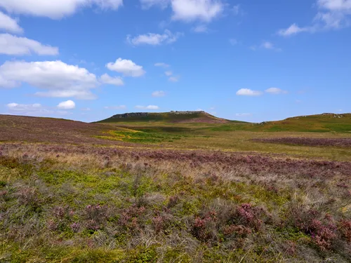 This landscape photograph captures Higger Tor valley in the Peak District, England, during a late summer morning. The wide expanse of the valley features thriving purple heather spread across the terrain, adding vibrant color to the scene. Higger Tor is the main landmark, its rocky plateau rising in the distance under a clear blue sky with scattered clouds. The image was taken in the United Kingdom, specifically within the Longshaw Estate area, and reflects the characteristic open moorland of the Peak District. The natural beauty of the heather and the iconic presence of Higger Tor highlight the unique features of this region, making the photograph a picturesque representation of the English countryside in summer.